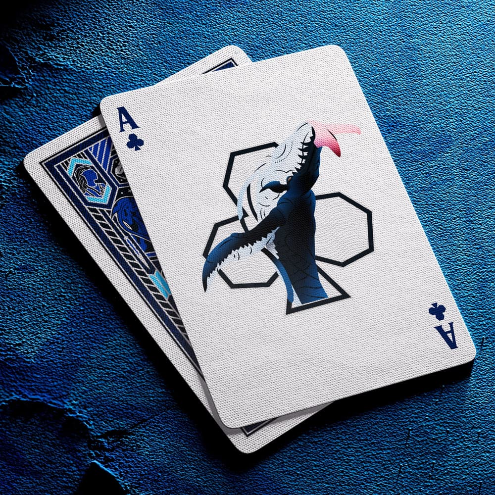 Avatar Playing Cards